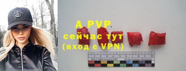 молекула духа Карпинск