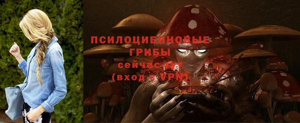 spice Карталы